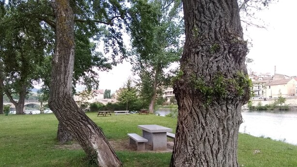Un parque con mesas de picnic y bancos, un área verde y una masa de agua al fondo.