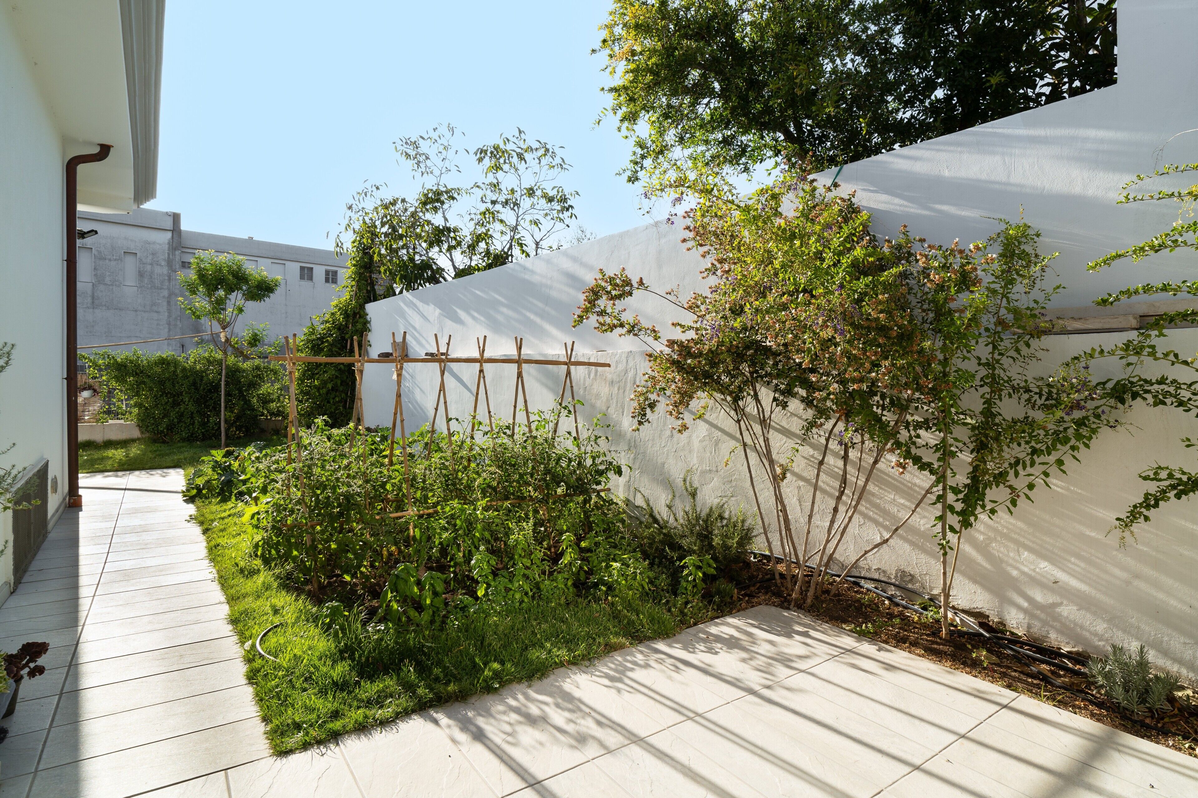 Terrein van de accommodatie