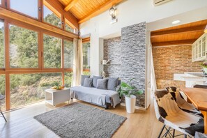 Televisión, chimenea y tenis de mesa 