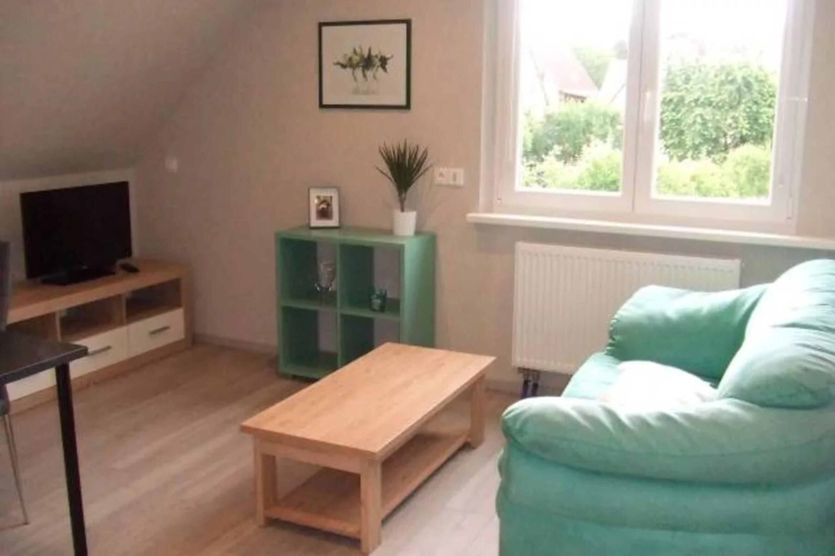 A room with a wooden coffee table, a teal sofa, a green shelving unit, a framed picture on the wall, and a window with a view of greenery outside.