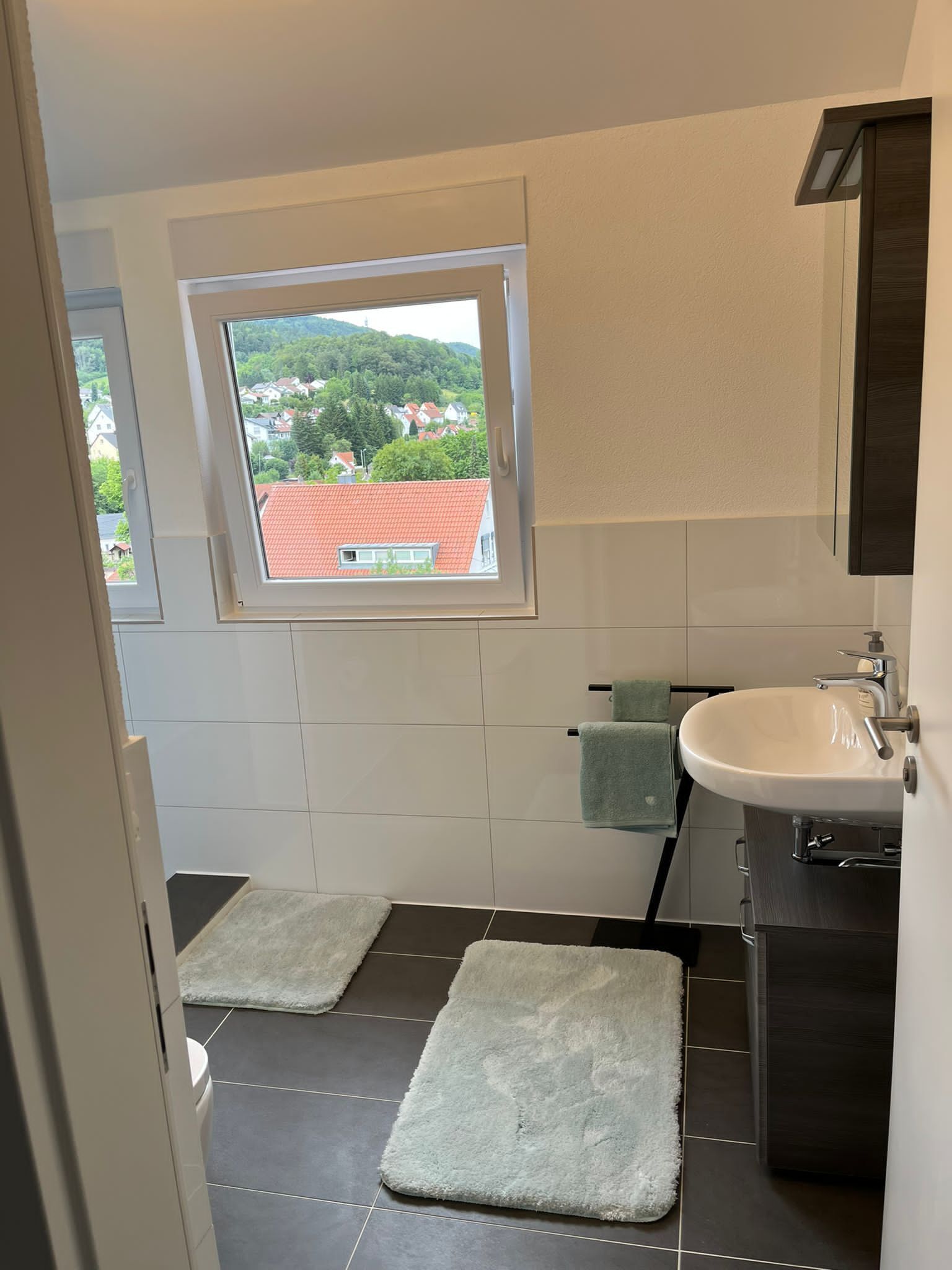 Haartrockner, Handtücher, Seife, Toilettenpapier