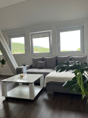 Flat-screen TV