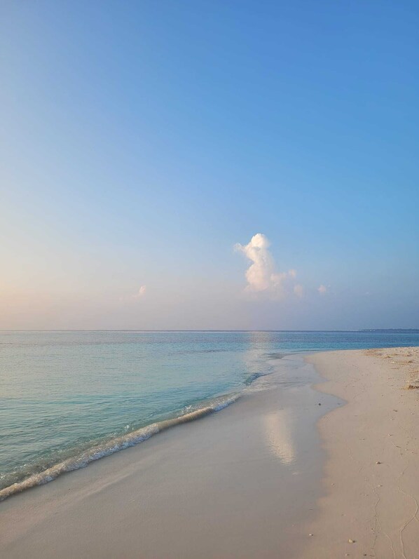 Beach nearby, white sand - Fehi Velaa Stay (Dhonfanu)