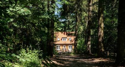 Fantastic family home with a large garden | in the Forest