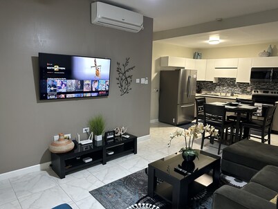 Modern Luxurious Kingston Apartment