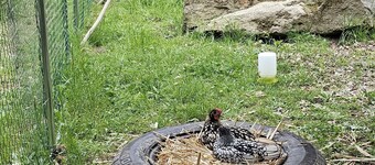 Vacation apartment "Haus Sonne"