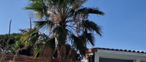 Alberca