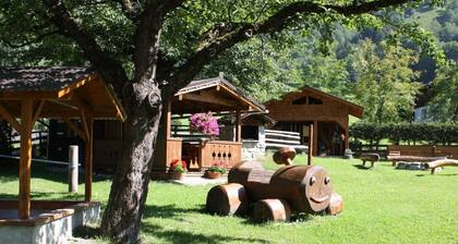 Ferienwohnung 'Sonnenblumenfeld', Bio-Ferienbauernhof Moarbauer, Gasteinertal