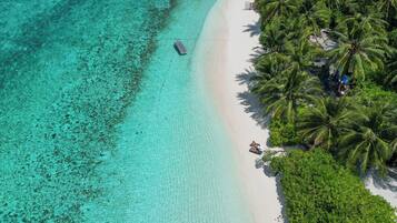 Vista aerea di una spiaggia con acque cristalline turchesi, una riva sabbiosa e palme rigogliose.