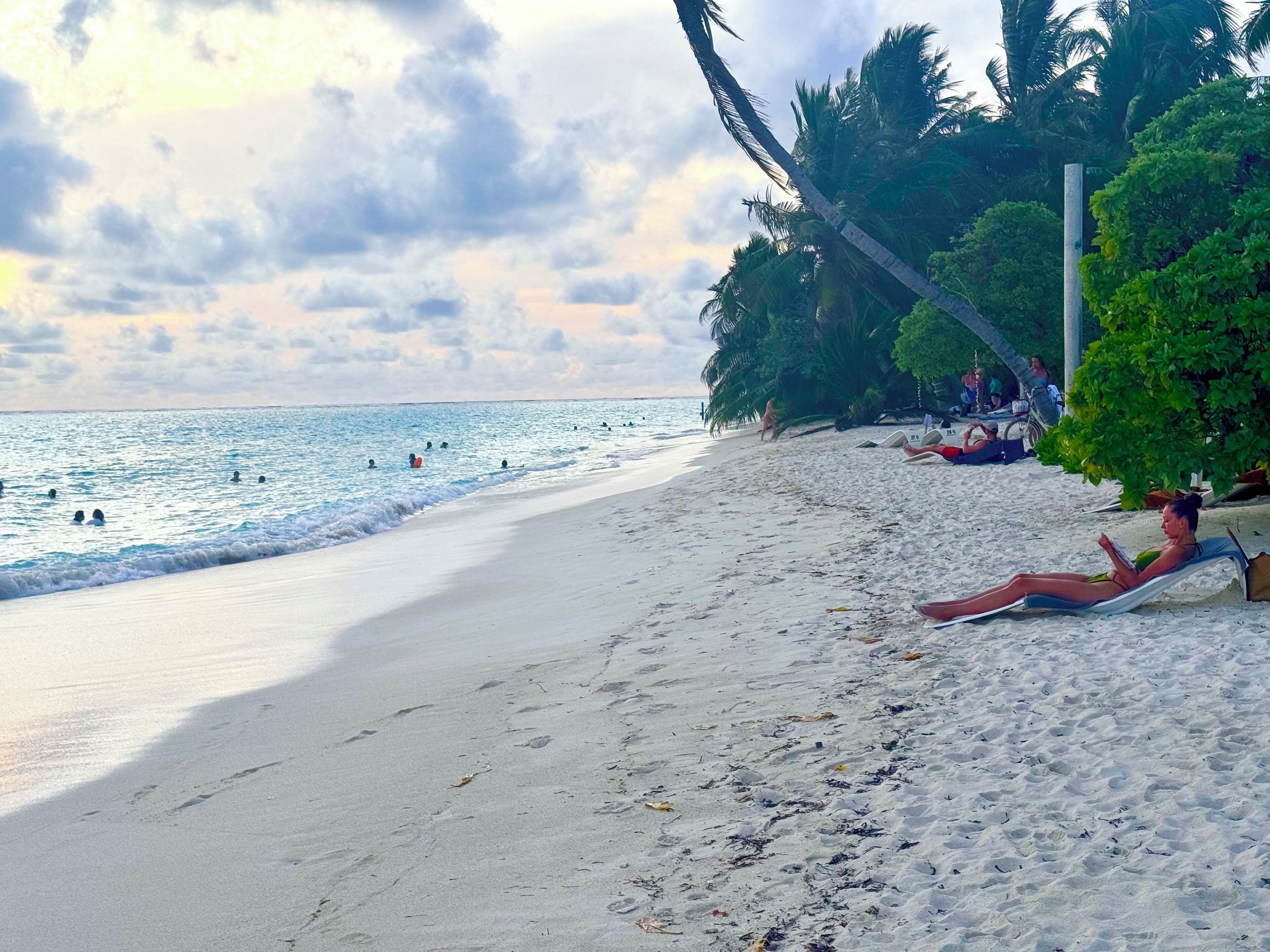 A beach with white sand, palm trees, and people swimming and relaxing.