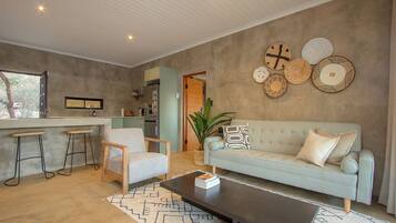 Smart TV, fireplace, books, stereo