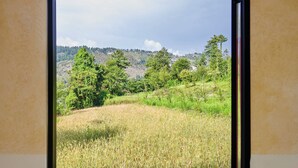 Una ventana con vista a un campo cubierto de hierba y árboles.