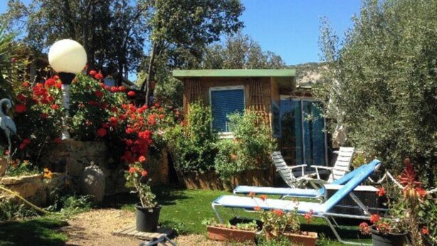 Un jardin avec une petite maison, une piscine bleue et une statue d’oiseau blanche.
