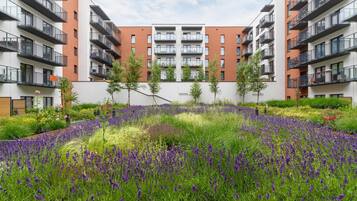 Overnattingsstedets uteområder