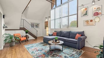 TV, fireplace, DVD player