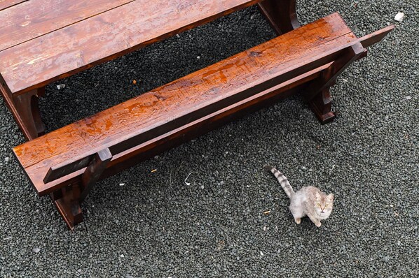 Miscellaneous - Mountain lodge Bijele stijene (Planinarski dom) (Tuk Vojni)