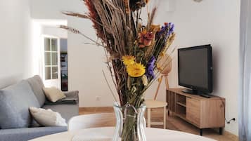 TV connectée, livres