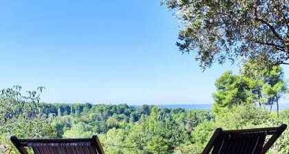 Bastide des Oliviers - Aix-en-provence