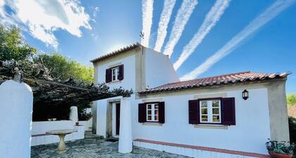 Amazing view to the Castle! Beautiful renewed country house. 5m walk to village.