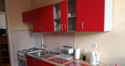 Tulip Apartment - Sarajevo center