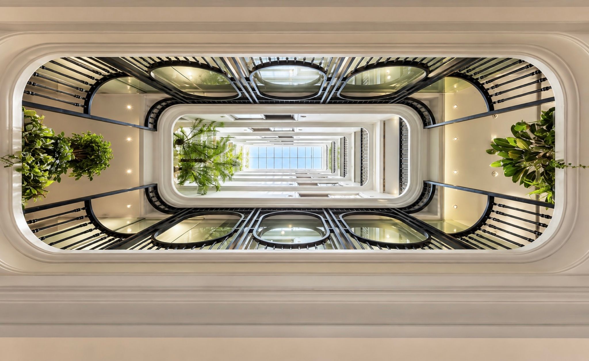 A modern interior with a central staircase flanked by glass railings and potted plants.
