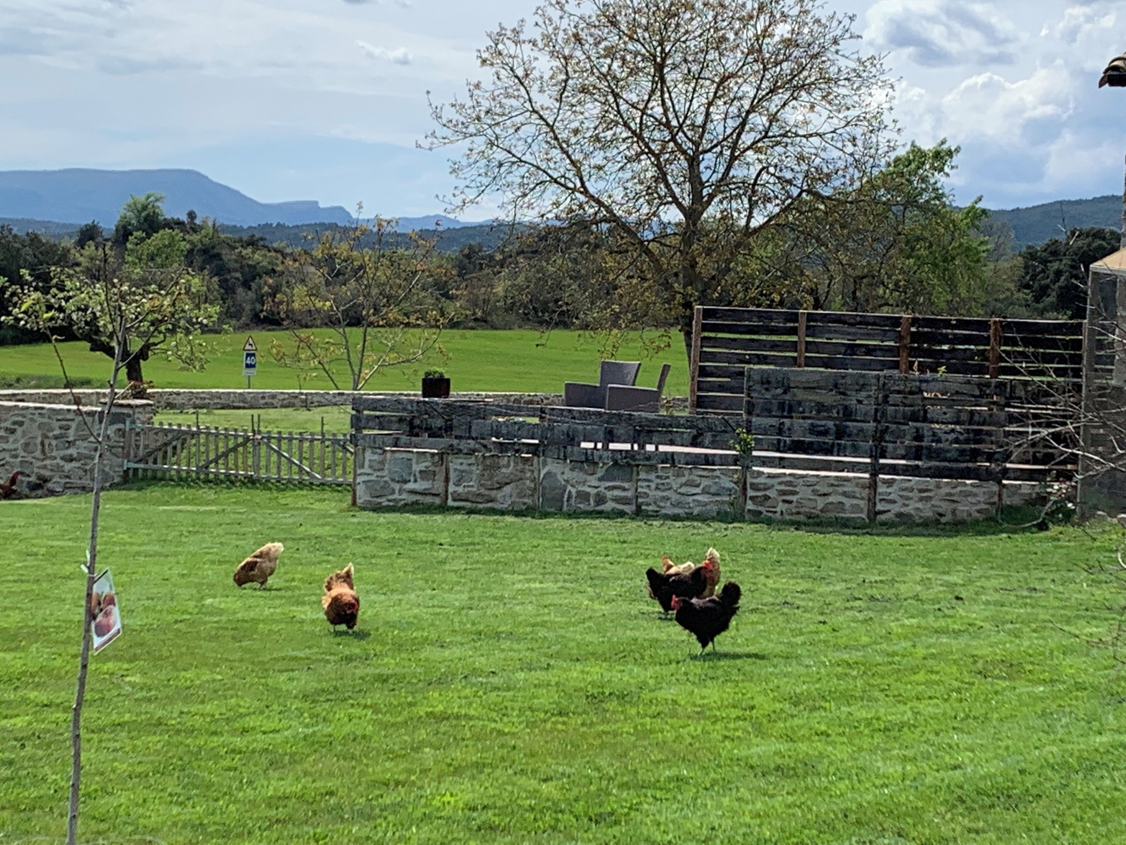 A rural landscape with a stone wall, a wooden fence, and a grassy field.