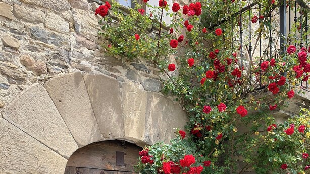 A stone wall with a wooden door and a potted plant with red flowers. - Casa Lascorz (Ainsa)