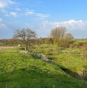 Terrain de l’hébergement 