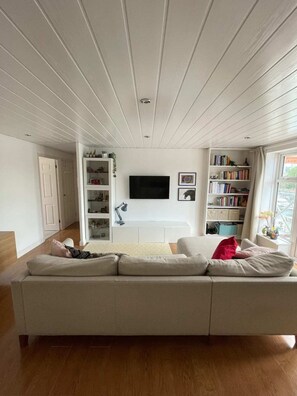 Basic Apartment, Multiple Beds | Living area | TV