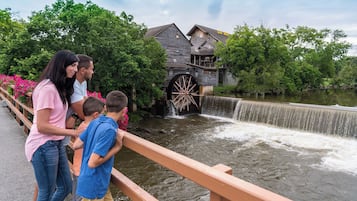Áreas de la propiedad