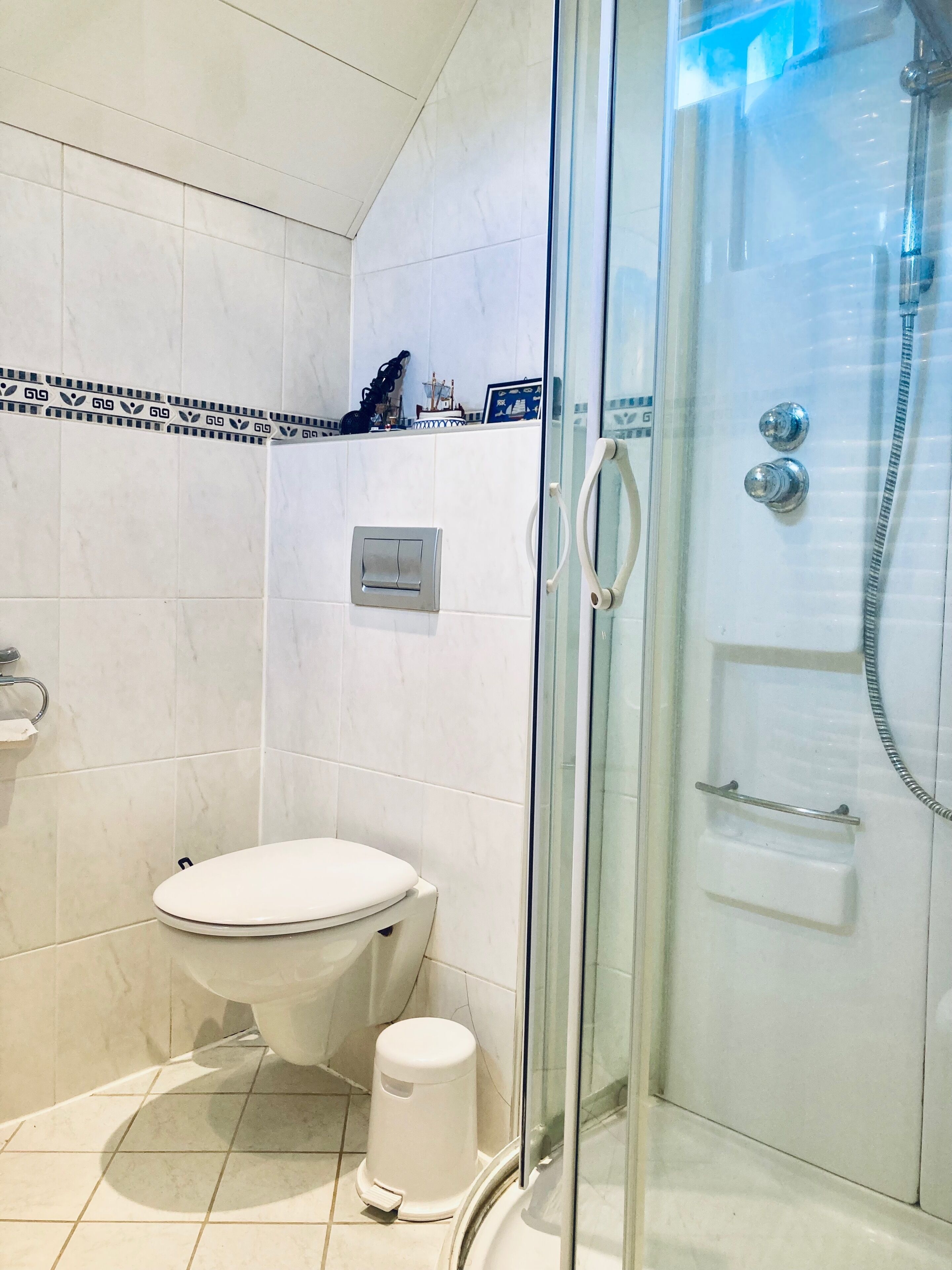 A bathroom with a toilet, a shower enclosure, and a small trash bin.