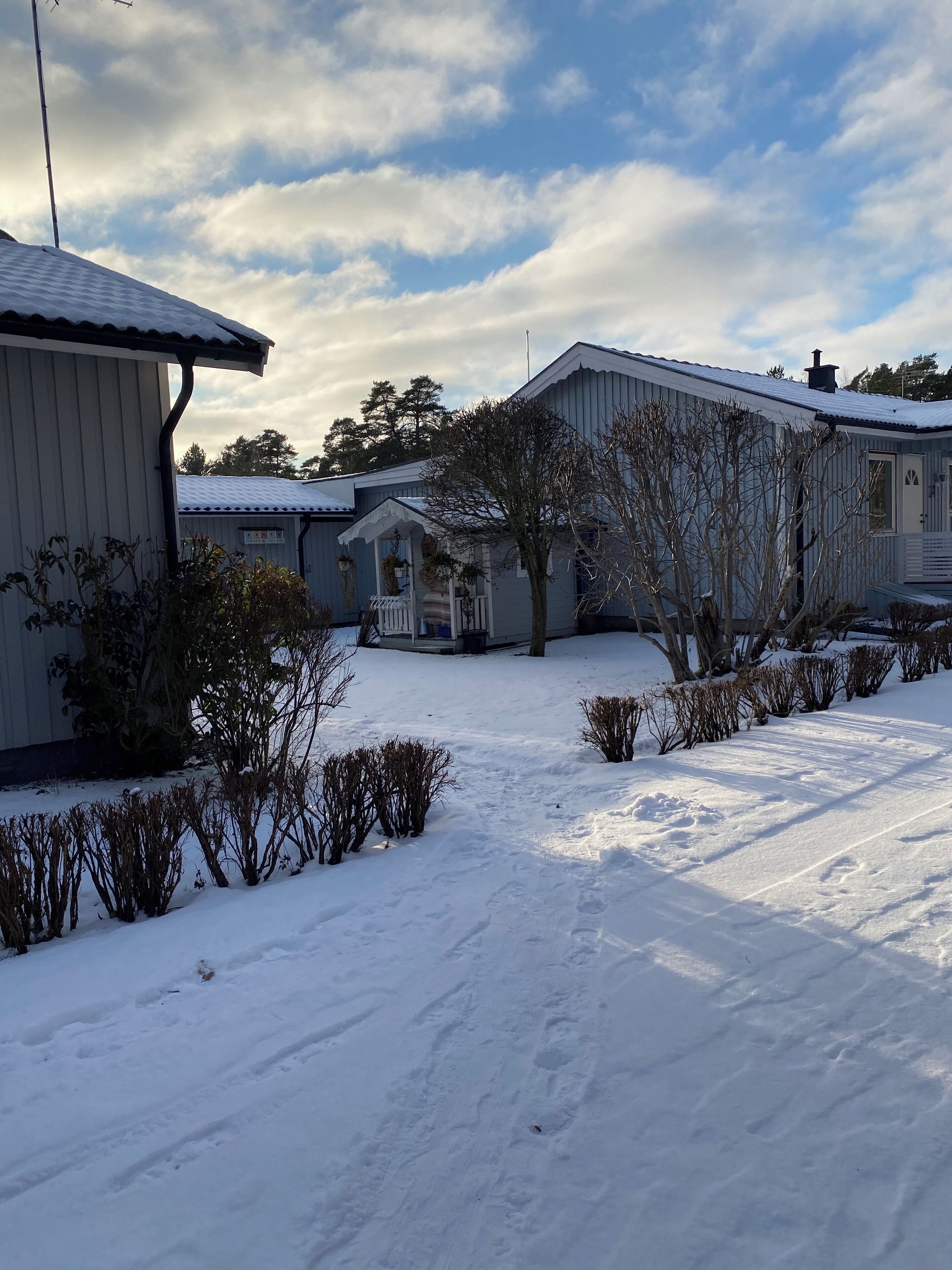 A residential area with houses and a snow-covered path.