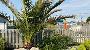 Un jardín con una palmera, una cerca de madera y un cobertizo pequeño.