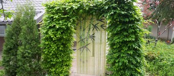 Casuta Bradulet Aeroport Otopeni & Therme