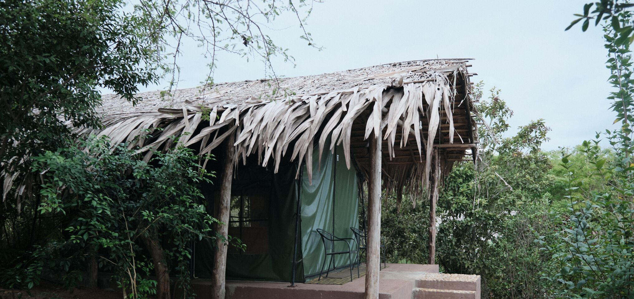 A rustic hut with a thatched roof, surrounded by dense foliage.