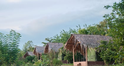 Forest Lodge Eco Camp