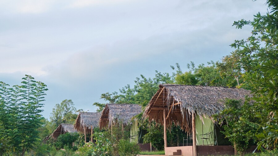 Forest Lodge Eco Camp