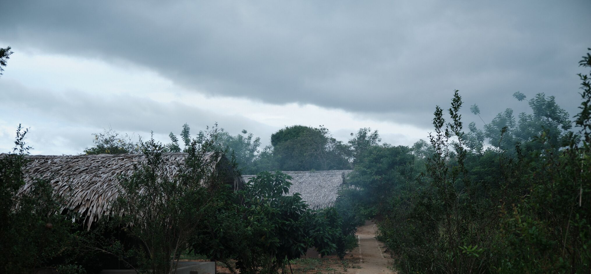 Un paysage rural avec un bâtiment à toit de chaume, un chemin de terre et une végétation luxuriante.