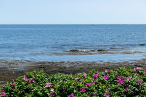 海滩