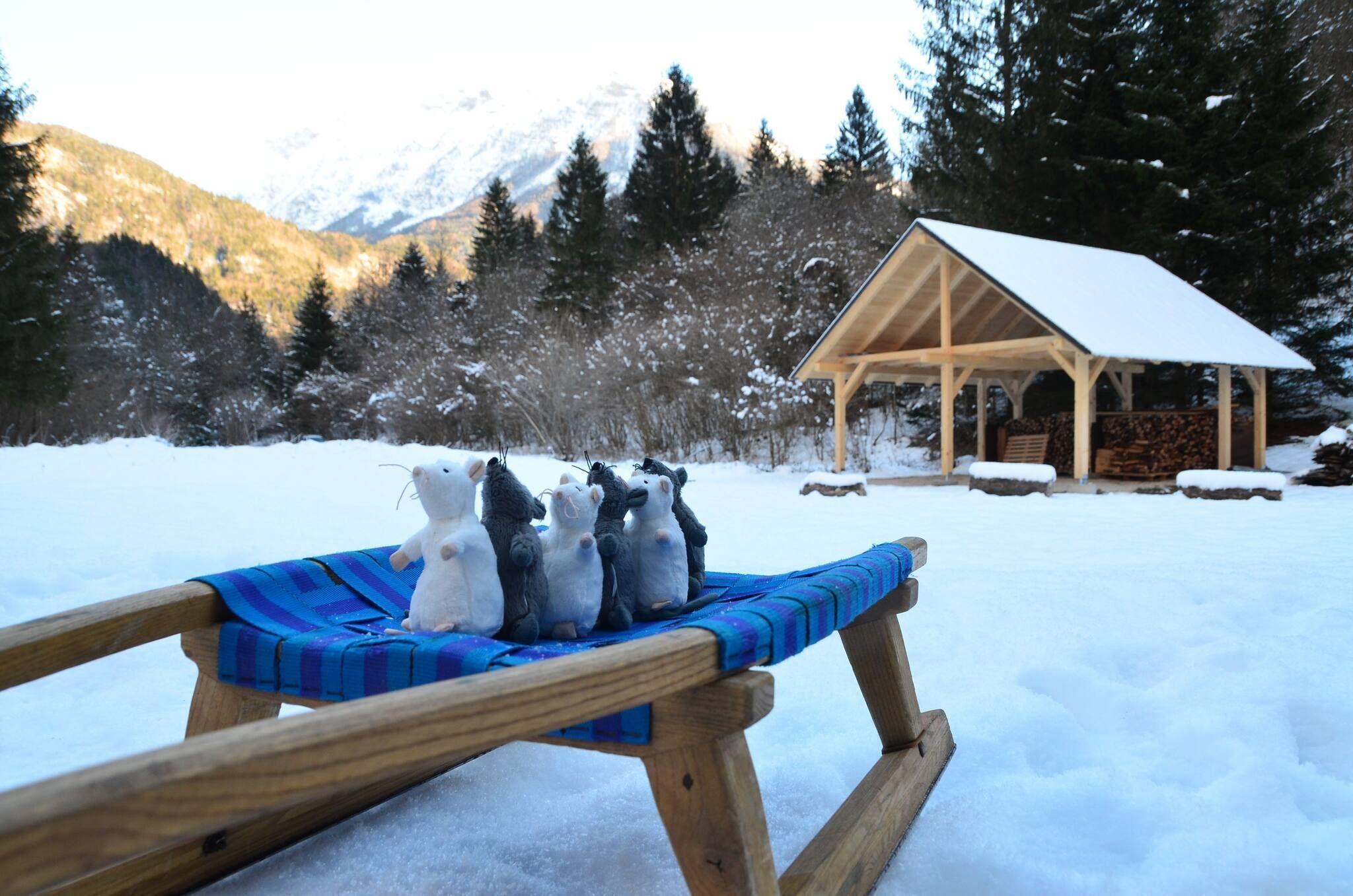 Apartment, 1 Bedroom, Patio, Garden View | Property grounds