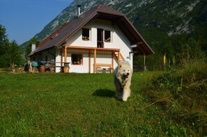 Apartment, 1 Bedroom, Patio, Garden View | Exterior - Soča Home With The View (Bovec)