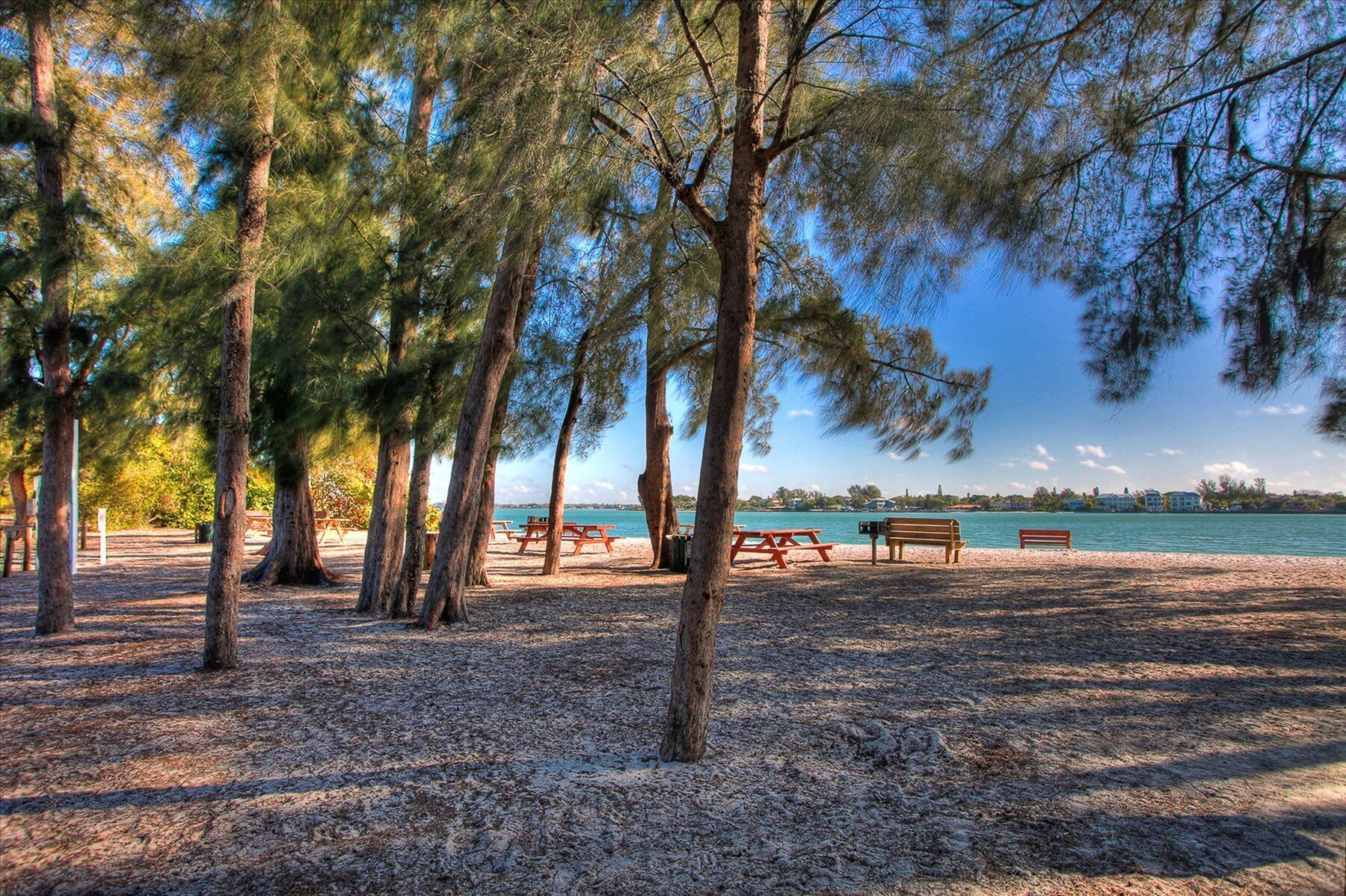 A beach with picnic tables and benches, surrounded by trees.