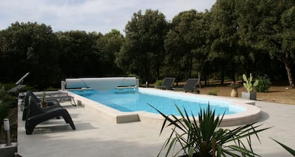 Villa Louna au milieu du bois
