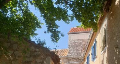 Beautiful rustikal dalmatian stone house