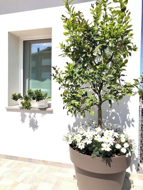 Details aan de buitenkant