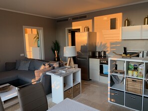 TV connectée, cheminée, chaîne hi-fi