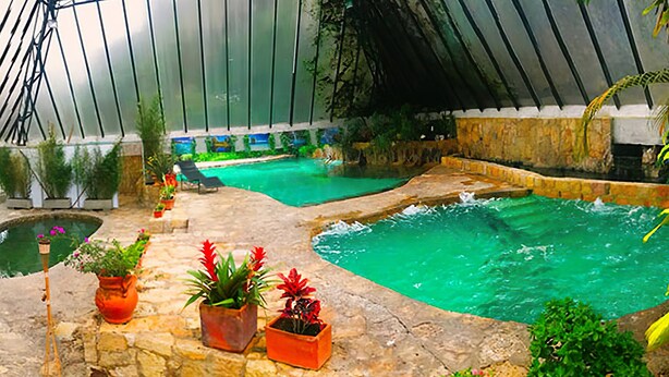 Une serre avec une piscine, des plantes en pot et un chemin pavé de pierres.