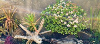 Cosy studio with kitchenette in Norton - 2120