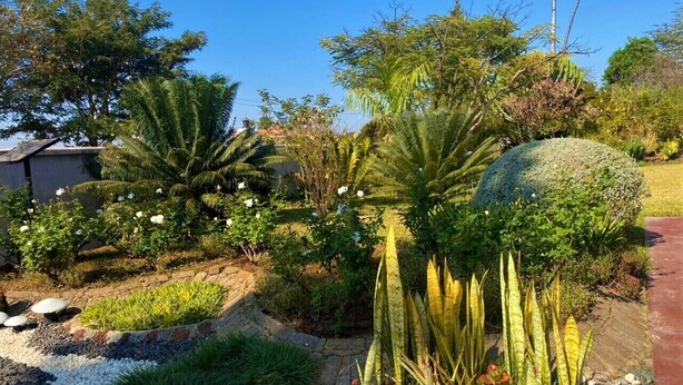 A garden with various plants, a stone pathway, and a building in the background. - Cosy studio with kitchenette in Norton - 2120 (Norton)