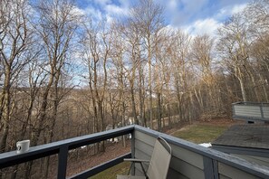 Apartment (3 Bedrooms) | Interior - Swiss Mtn Condo: 3 Mi to Seven Springs Resort (Champion)